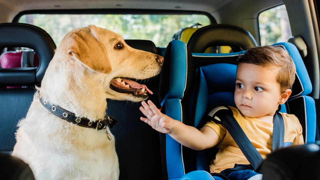 Things Professional Movers Cant Move Mark D. Olejniczak Realty, Inc.