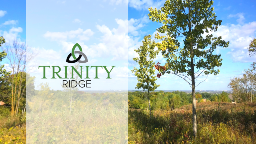 New Residential Development Trinity Ridge In Ledgeview Wisconsin Offers