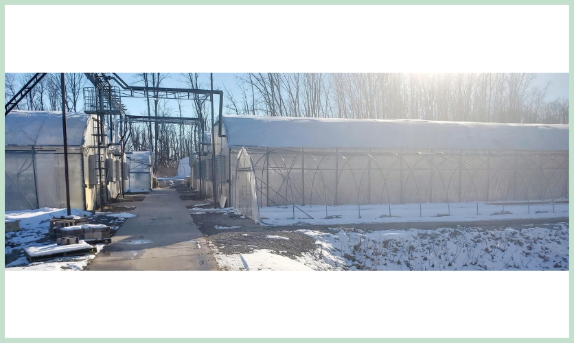 This property has a total of 141 greenhouses and includes equipment needed to run them!